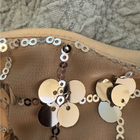 Zara Silver Sequin Beige Square Neck Mini Dress- Small - Picture 8 of 16